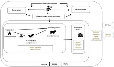 Combining systemic and pragmatic approaches for the holistic diagnosis of a farm in agroecological transition in a health context